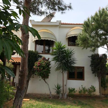 Villa Natalia Aya Napa Dış mekan fotoğraf
