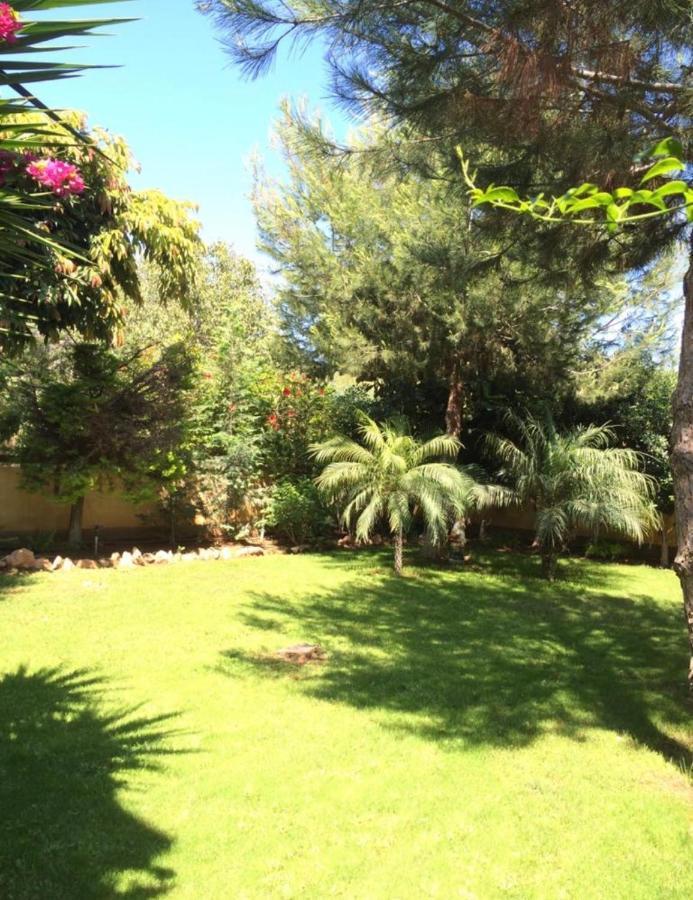 Villa Natalia Aya Napa Dış mekan fotoğraf